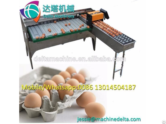 Egg Grading Machine