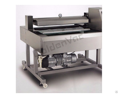 Automatic Continuous Vacuum Packaging Machinery Dz 1000qf