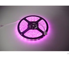 Flexible Wifi Rgb Led Strip Grow Lights With Remote Control Power Adapter