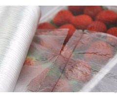 Safe Food Bag With Ce Iso Qs Certificates