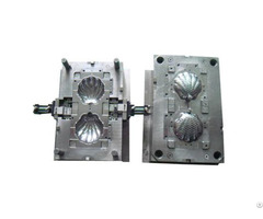 Shell Plastic Injection Mold Maker