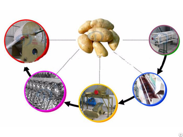 Potato Starch Manufacturing Plant