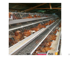 Uganda Nigeria Poultry Farm Chicken Cage