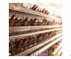 Chicken Cage System In Kenya