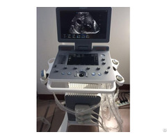 Canyearn C95 Plus Built In Trolley Color Doppler Ultrasound Scanner With Touch Screen