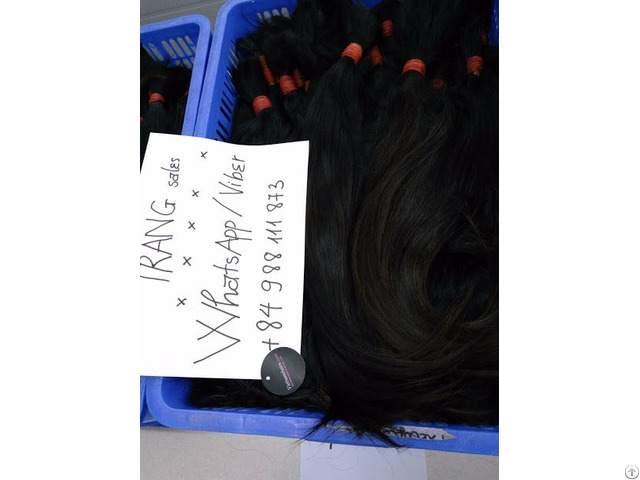 100 Percent Virgin Hair Best Wholesale Price