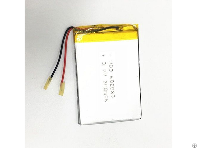 Lipolymer Battery