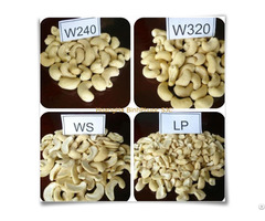 Cashew Nuts W240, W320, Ws, Lp