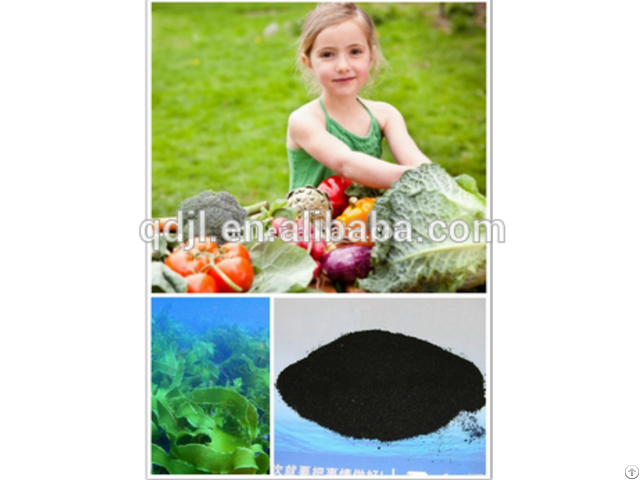 Dry Organic Fertilizer Seaweed Extract