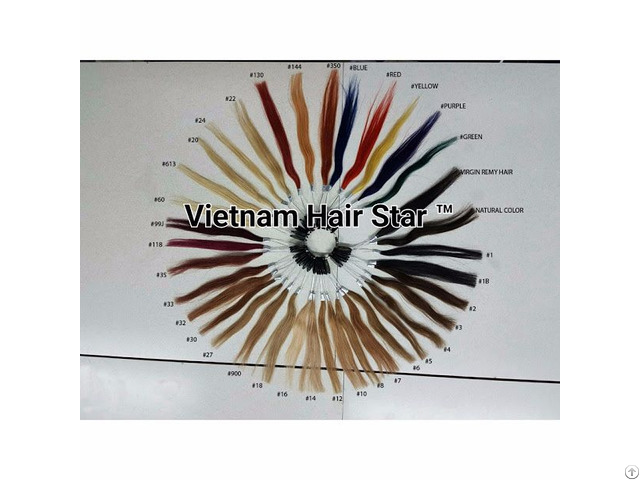 100 Percent Human Hair Color Chart