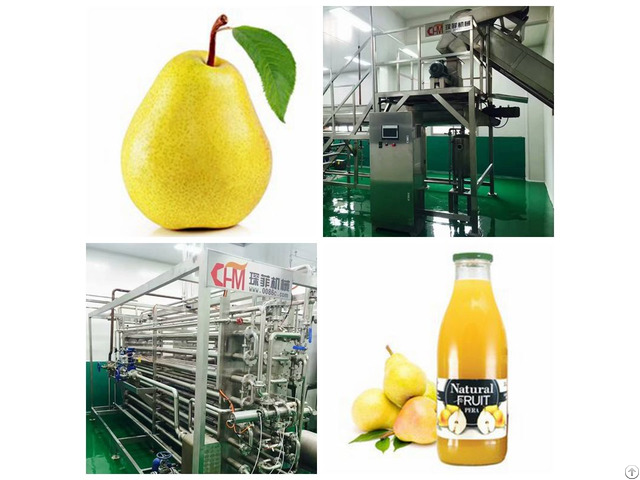 Fruit Juice Processing Line