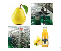 Fruit Juice Processing Line