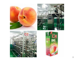 Peach Juice Processing Line