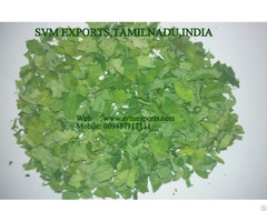 Higenic Moringa Dry Leaves Exporters India
