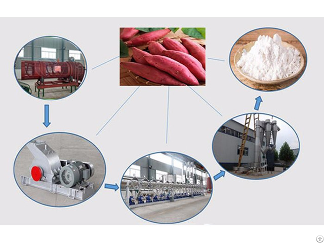 Sweet Potato Starch Production Plant