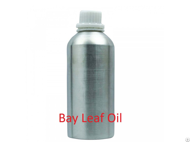 Bay Leaf Essential Oil