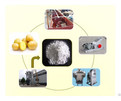 Energy Saving Potato Starch Making Machine