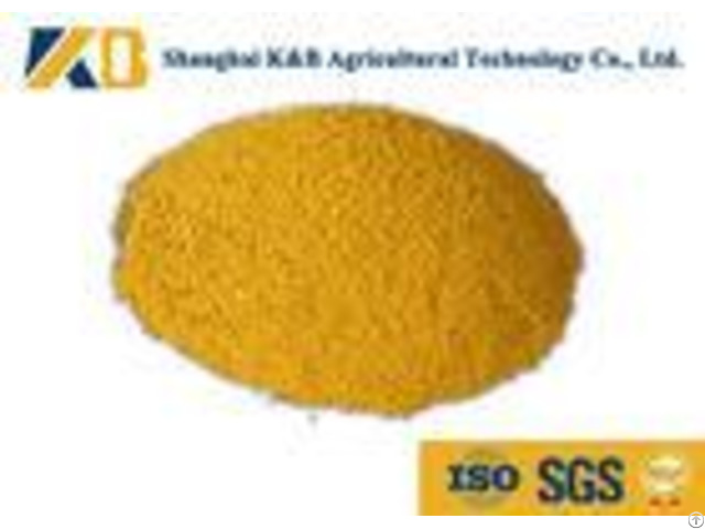 60 Percent Content Corn Protein Powder Animal Feed Additives For Shrimp Breed