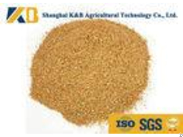 Feed Grade Healthy Corn Protein Powder Iso Haccp Certificate For Fodder