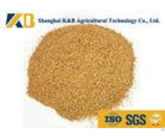 Feed Grade Healthy Corn Protein Powder Iso Haccp Certificate For Fodder