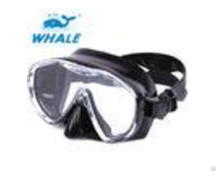 Waterproof Low Profile Tinted Snorkel Mask With Tube Large Viewing Area