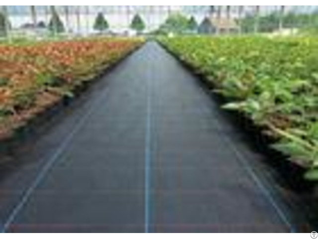 Uv Resistance Geosynthetic Fabric Pp Woven Weed Mat For Prevent Grass Growth