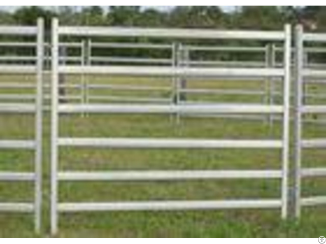 Galvanized Steel Cattle Yard Panels Anti Oxidizing Property Excellent Pressure Resistance