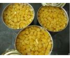 A10 Large Tin Canned Sweet Corn Kernels 1800 G Drained Weight Short Lead Time