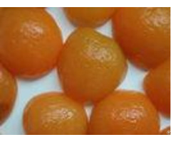 Natural Fresh Safe Canned Apricot Halves In Heavy Syrup 40 Percent Max Moisture