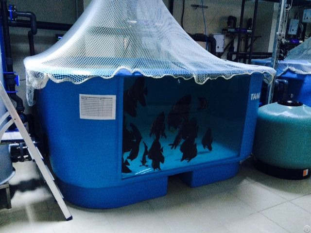 Aquarium Tanks