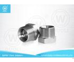 Carbon Steel Hydraulic Nipple Pipe Fitting With Bspt Male And Bsp Female Thread