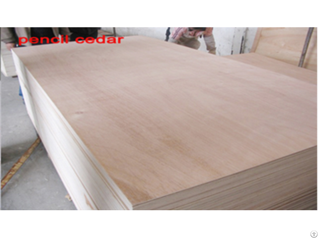 Blockboard For Furniture From Linyi Factory