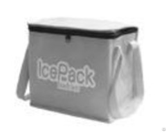 Portable Nonwoven Insulated Cooler Bags For Promotional Grey Blue