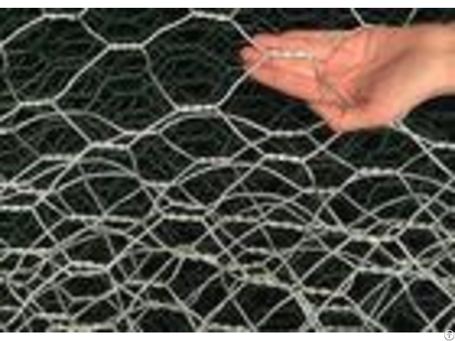 Electro Galvanized Hexagonal Chicken Wire Mesh Netting For Raising Animals