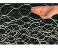 Electro Galvanized Hexagonal Chicken Wire Mesh Netting For Raising Animals