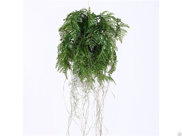 Plastic Hanging Ferns