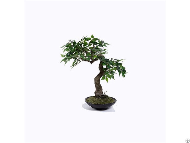 Artificial Ficus Benjamina Tree