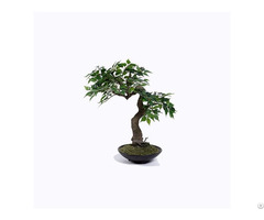 Artificial Ficus Benjamina Tree