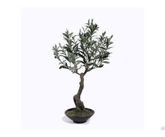 Plastic Olive Tree In Pots