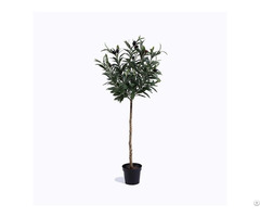 Custom Artificial Olive Tree