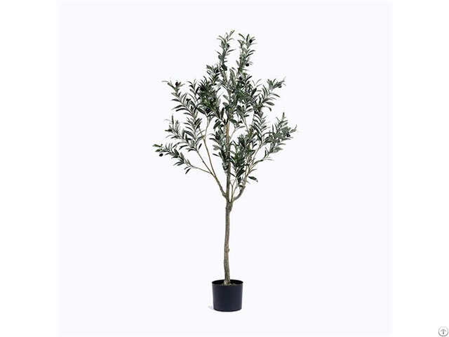 Silk Single Trunk Olive Tree