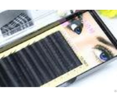 Premium Long Lasting Eyelash Individual Extensions For Beauty Salon 10mm In Three Rows