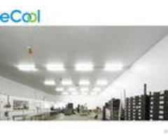 Epc11 0 4 F Low Temperature Cold Room Warehouse For Packed Frozen Food