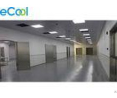 Modern Facility Low Temperature Cold Storage For Pork Processing Factory