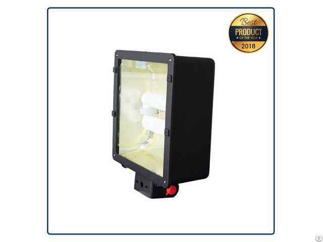 Outdoor Fixture Induction Shoe Box Light