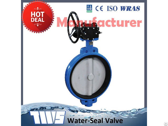 Dn50 Cast Iron Butterfly Valve With Worm Gear