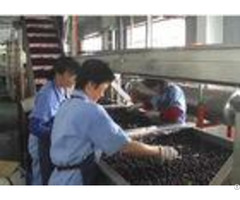 Automatic Small Scale Canning Equipmentcanned Blueberry Production Line