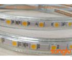 Warm White Waterproof Led Rope Lights 110v Ww 5050 60d With Epistar Chip