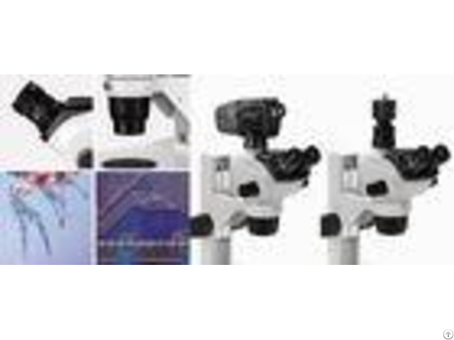 Binocular Trinocular Stereo Zoom Microscope Various Accessories Complete Function