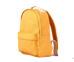 Weekender Laptop Bag School Backpack